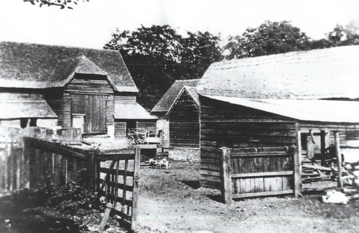 Main barn and piggery at Cholsey Farm